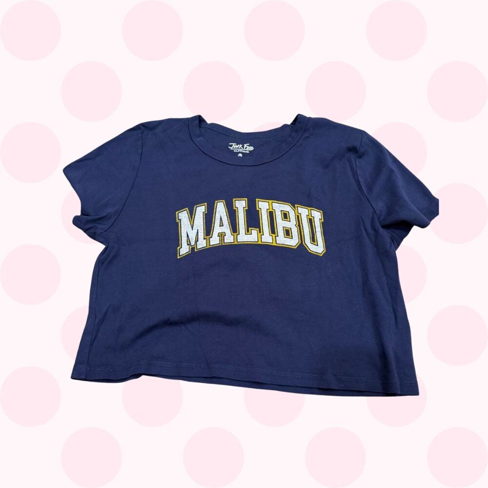 Junk Food Malibu Navy Blue Cropped Graphic T-Shirt Size XXL